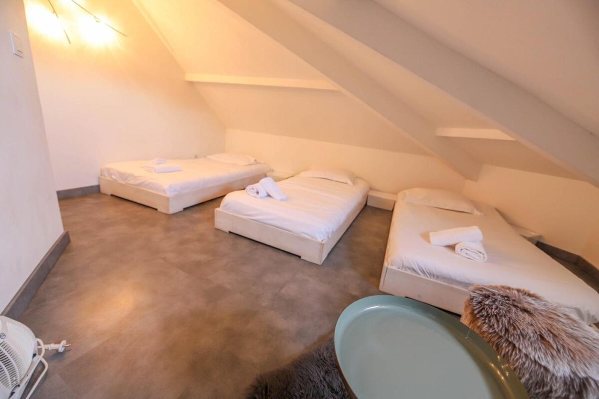 2 Bd Apartment With Sauna In The Center Of Annecy Bagian luar foto
